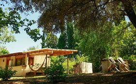 Hotel Croa La Rana